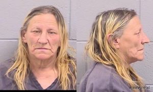 Susan Powell Arrest Mugshot