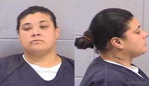 Sylvia Barela Arrest Mugshot