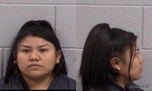 Tanisha Begay Arrest Mugshot