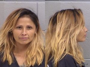 Telamena Sandoval Arrest Mugshot