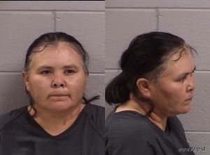 Terri Nez Arrest Mugshot