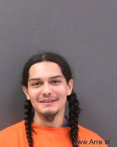 Tevyn Driever Arrest Mugshot