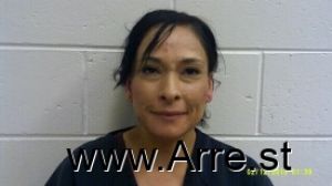 Theresa Lopez Arrest Mugshot