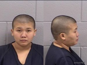 Thuhang Ho Arrest Mugshot