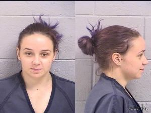 Tianna Linkous Arrest Mugshot