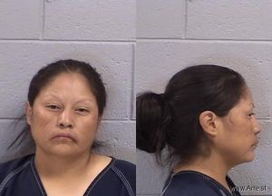 Tiffany Pioche Arrest Mugshot