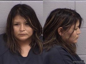 Tiffany Van Winkle Arrest Mugshot