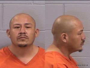 Tom Lee Arrest Mugshot