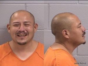 Tom Lee Arrest Mugshot