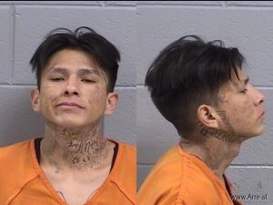 Trevor Johnson Arrest Mugshot