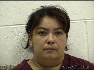 Trisha Lopez Arrest Mugshot