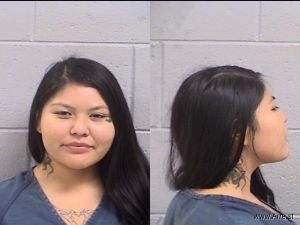 Trishelle Cayadito Arrest Mugshot