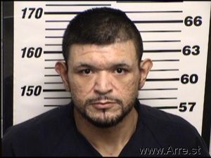 Troy Lara Arrest Mugshot