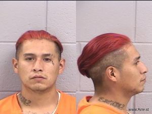 Tryson Trujillo Arrest Mugshot