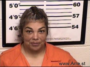 Vanessa Adauto-andazola Arrest Mugshot