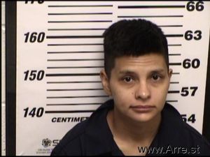 Vanessa Alirez Arrest Mugshot