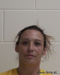 Vanessa Castillo Arrest Mugshot