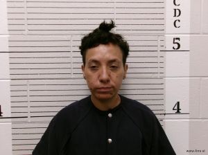 Vanessa Emord Arrest Mugshot