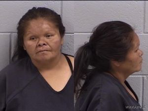 Vickie Augustine Arrest Mugshot