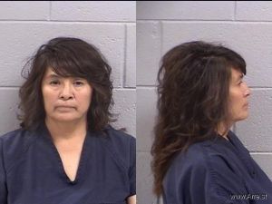 Vida Yellowhorse Arrest Mugshot