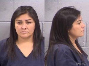 Yvonne Lee Arrest Mugshot