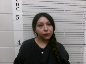 Zeanna Platero Arrest Mugshot