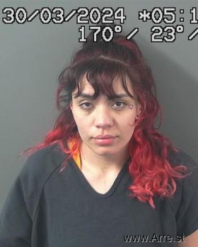 Anamaria  Robles Mugshot