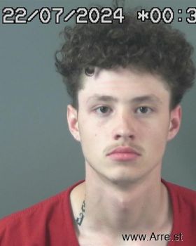 Blake Sebastian Cullors Mugshot