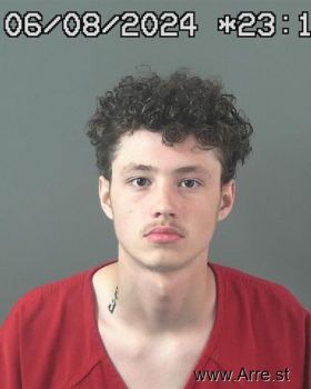 Blake Sebastian Cullors Mugshot