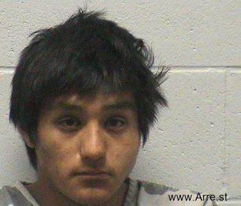 Brevyn Eldrick Raining Bird Mugshot