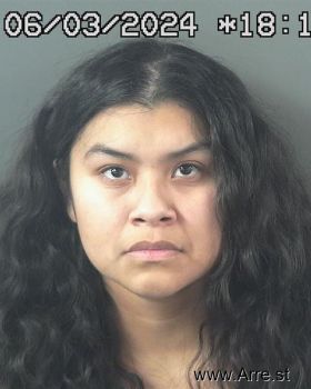 Erica Jasmine Garcia-sales Mugshot