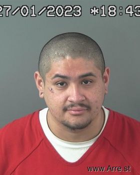 Felipe Godina Gonzalez Mugshot