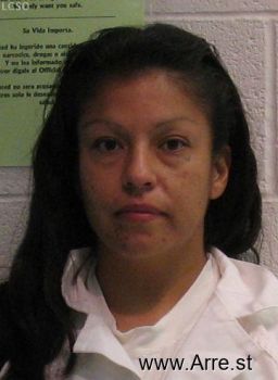 Monica Socorro Villa Mugshot