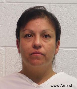 Monica Socorro Villa Mugshot