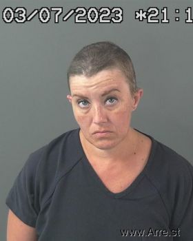 Megan Marie Tyler Mugshot