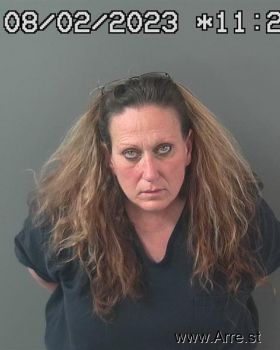 Mindi Sue Dixon Mugshot