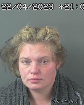 Shauna Elese Johnson Mugshot