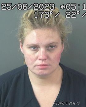 Shauna Elese Johnson Mugshot