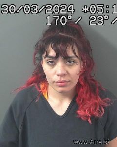 Anamaria Robles Arrest Mugshot