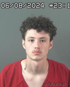 Blake Cullors Arrest Mugshot