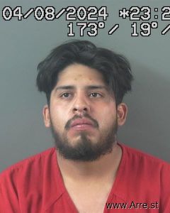 Carlos Navarro Arana Arrest Mugshot