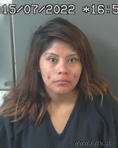 Fawn Bear Arrest Mugshot