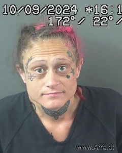 Starlynn Schneider Arrest Mugshot