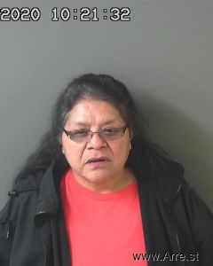 Suzanne Gonzales Arrest Mugshot