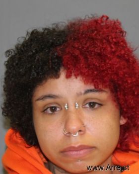 Briana Q Williams Mugshot