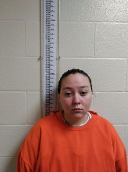 Kimberly Michelle Burdick Mugshot