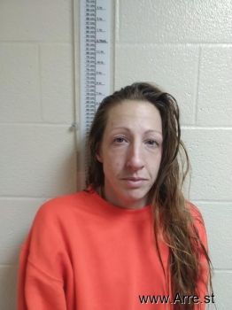 Shannon Elaine Woods Mugshot