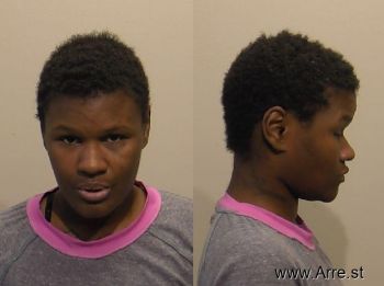 Shaquana Anne Jones Mugshot