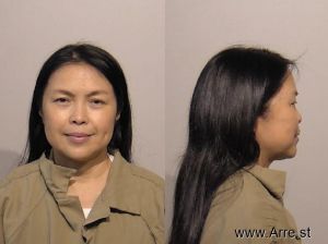 Mei Tian Arrest Mugshot