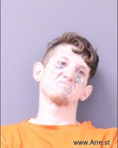 Michael Wells Arrest